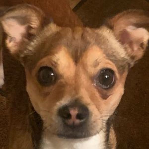 Meet your Posher, Emmy